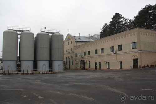 Альбом отзыва "Осенний градус Закарпатья"