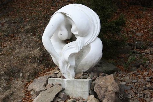 Альбом отзыва "Осенний градус Закарпатья"