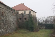Альбом отзыва "Осенний градус Закарпатья"