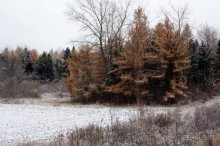 Осенний градус Закарпатья