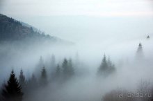 Альбом отзыва "Осенний градус Закарпатья"