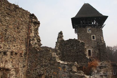 Альбом отзыва "Осенний градус Закарпатья"