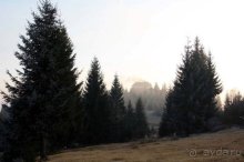 Альбом отзыва "Осенний градус Закарпатья"