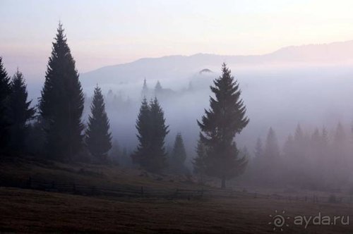 Осенний градус Закарпатья