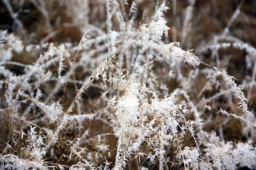 Осенний градус Закарпатья