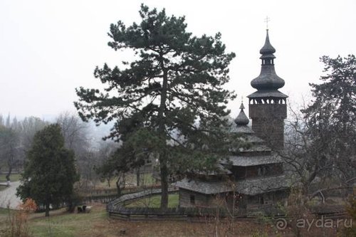 Осенний градус Закарпатья