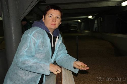 Осенний градус Закарпатья