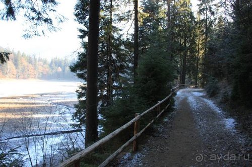 Осенний градус Закарпатья