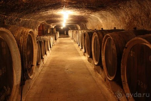 Осенний градус Закарпатья