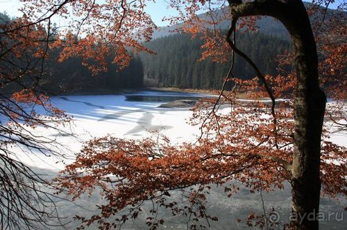 Осенний градус Закарпатья