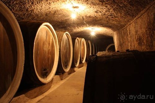 Осенний градус Закарпатья