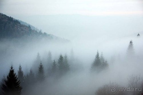 Осенний градус Закарпатья