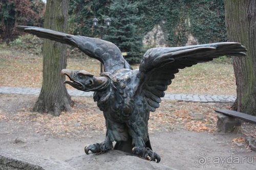 Осенний градус Закарпатья