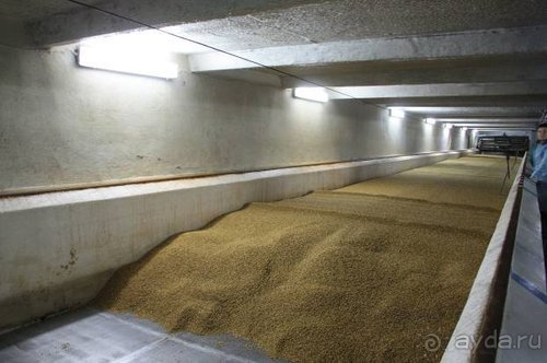 Осенний градус Закарпатья