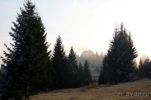 Осенний градус Закарпатья
