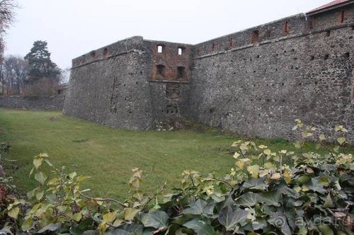 Осенний градус Закарпатья