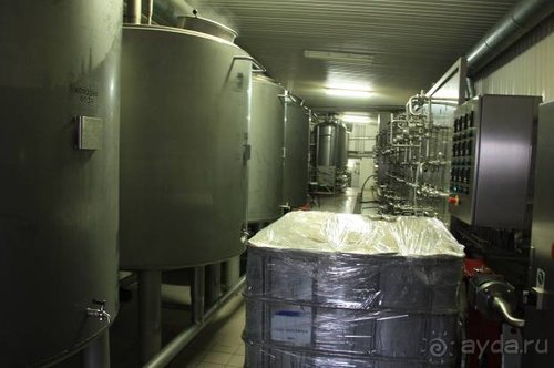 Осенний градус Закарпатья