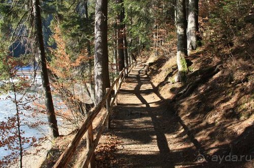 Осенний градус Закарпатья