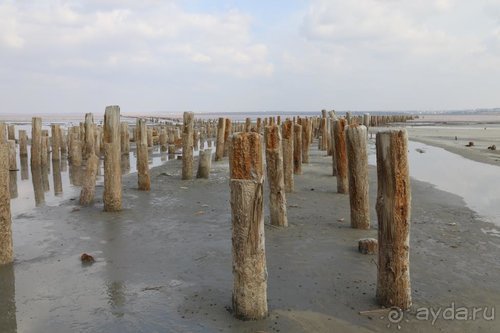 Записки эмигранта. Переезд в Одессу из Горловки (Донецкая область)