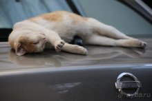 Записки эмигранта. Переезд в Одессу из Горловки (Донецкая область)