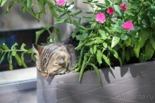 Записки эмигранта. Переезд в Одессу из Горловки (Донецкая область)