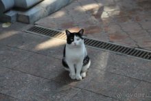 Записки эмигранта. Переезд в Одессу из Горловки (Донецкая область)