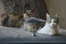 Записки эмигранта. Переезд в Одессу из Горловки (Донецкая область)