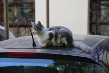 Записки эмигранта. Переезд в Одессу из Горловки (Донецкая область)