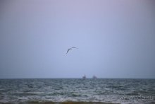 Записки эмигранта. Переезд в Одессу из Горловки (Донецкая область)