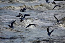 Записки эмигранта. Переезд в Одессу из Горловки (Донецкая область)