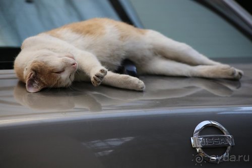 Записки эмигранта. Переезд в Одессу из Горловки (Донецкая область)