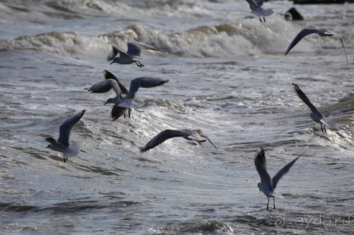 Записки эмигранта. Переезд в Одессу из Горловки (Донецкая область)