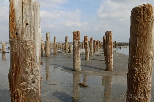 Записки эмигранта. Переезд в Одессу из Горловки (Донецкая область)
