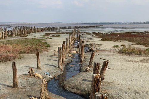 Записки эмигранта. Переезд в Одессу из Горловки (Донецкая область)