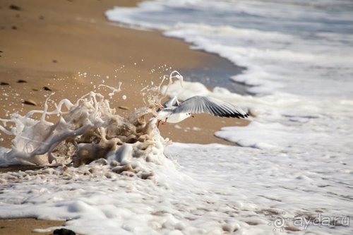 Записки эмигранта. Переезд в Одессу из Горловки (Донецкая область)