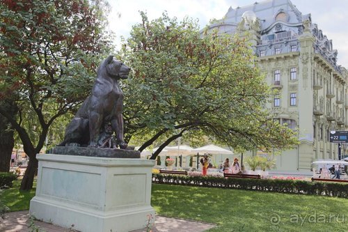 Записки эмигранта. Переезд в Одессу из Горловки (Донецкая область)