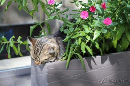 Записки эмигранта. Переезд в Одессу из Горловки (Донецкая область)