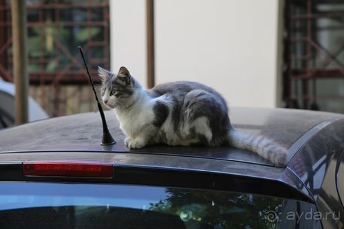 Записки эмигранта. Переезд в Одессу из Горловки (Донецкая область)