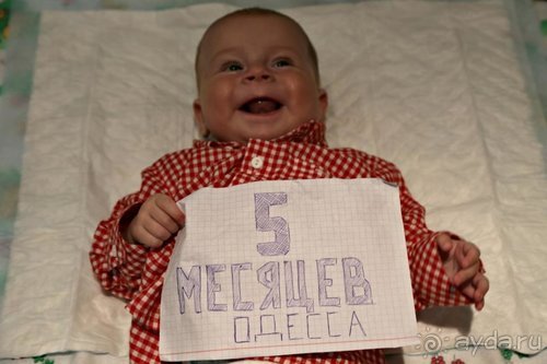 Записки эмигранта. Переезд в Одессу из Горловки (Донецкая область)