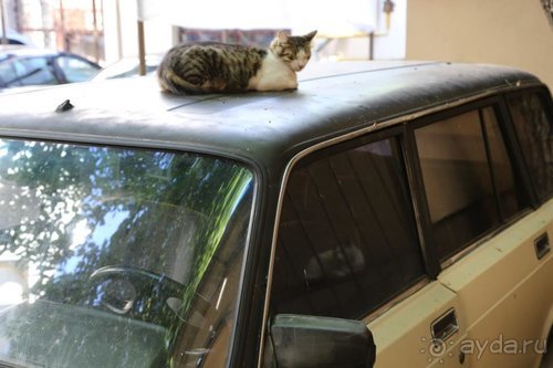 Записки эмигранта. Переезд в Одессу из Горловки (Донецкая область)