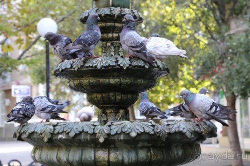 Записки эмигранта. Переезд в Одессу из Горловки (Донецкая область)