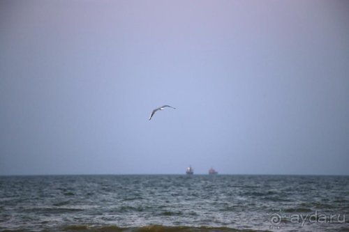 Записки эмигранта. Переезд в Одессу из Горловки (Донецкая область)