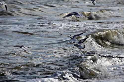 Записки эмигранта. Переезд в Одессу из Горловки (Донецкая область)