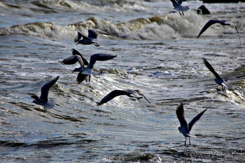 Записки эмигранта. Переезд в Одессу из Горловки (Донецкая область)