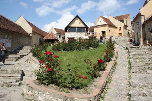 Из румын в греки