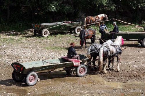 Из румын в греки