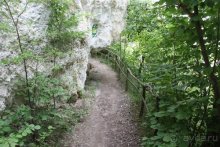 Из румын в греки