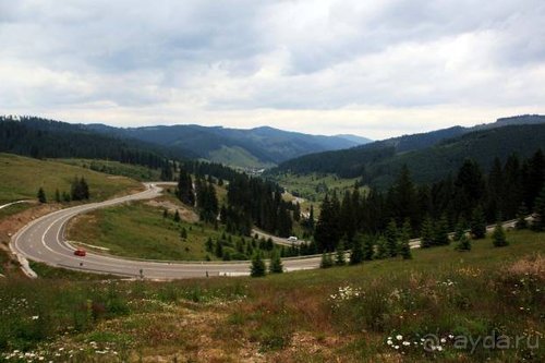 Из румын в греки