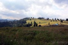 Из румын в греки