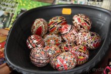 Из румын в греки